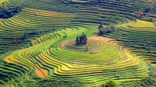 ກອງປະຊຸມສະຫຼຸບ ວຽກງານປີ 2011 ຂອງຄະນະຊີ້ນຳ ເຂດຕາເວັນຕົກ ສ່ຽງເໜືອ